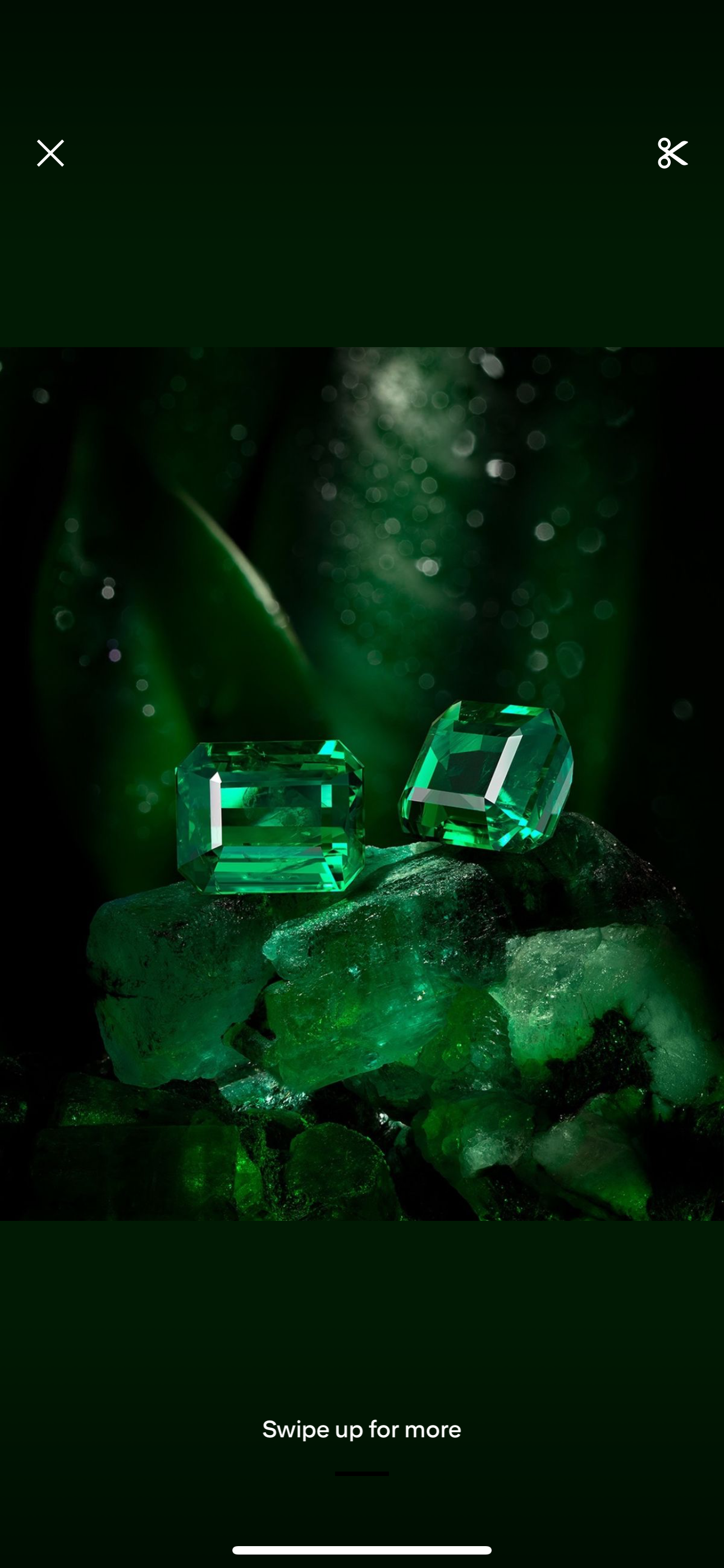 Jewelry Premium
