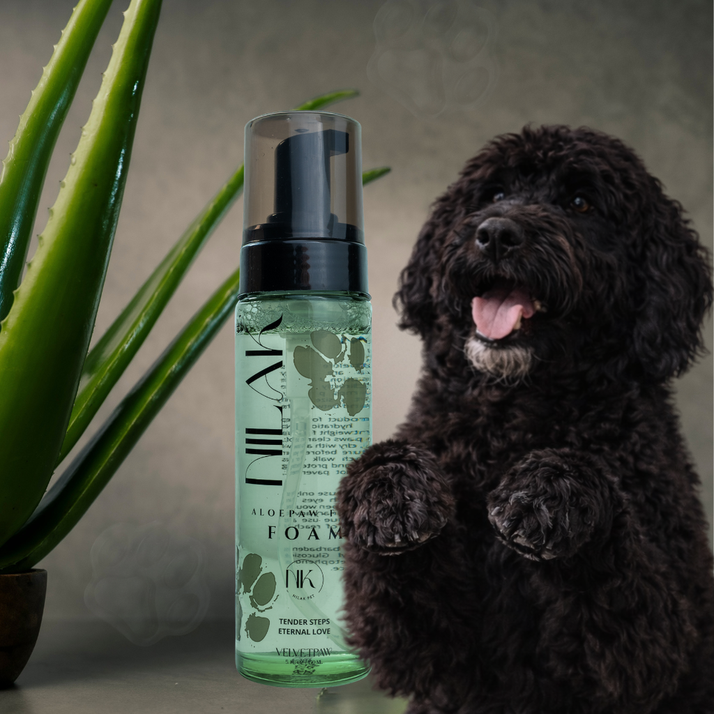 ALOE PAW-FFLE FOAM
