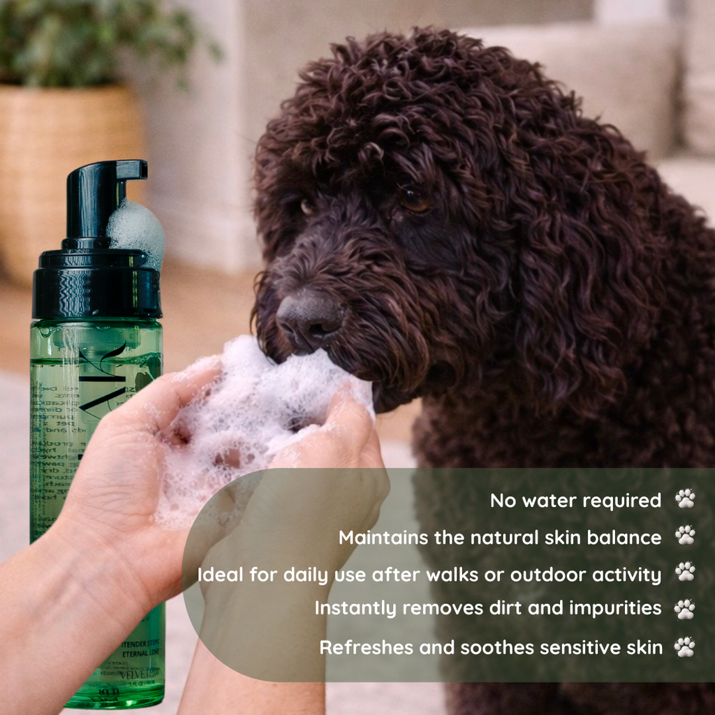 ALOE PAW-FFLE FOAM