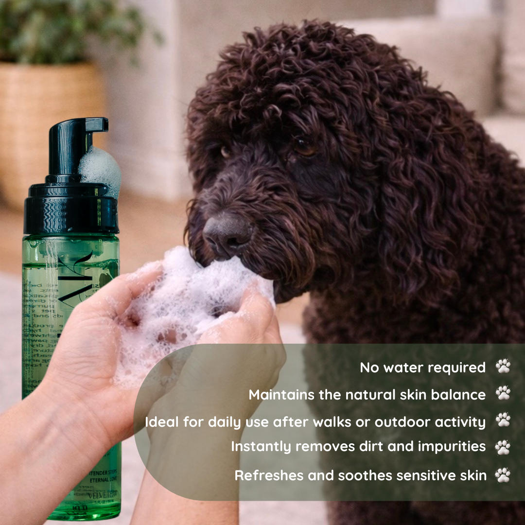 ALOE PAW-FFLE FOAM