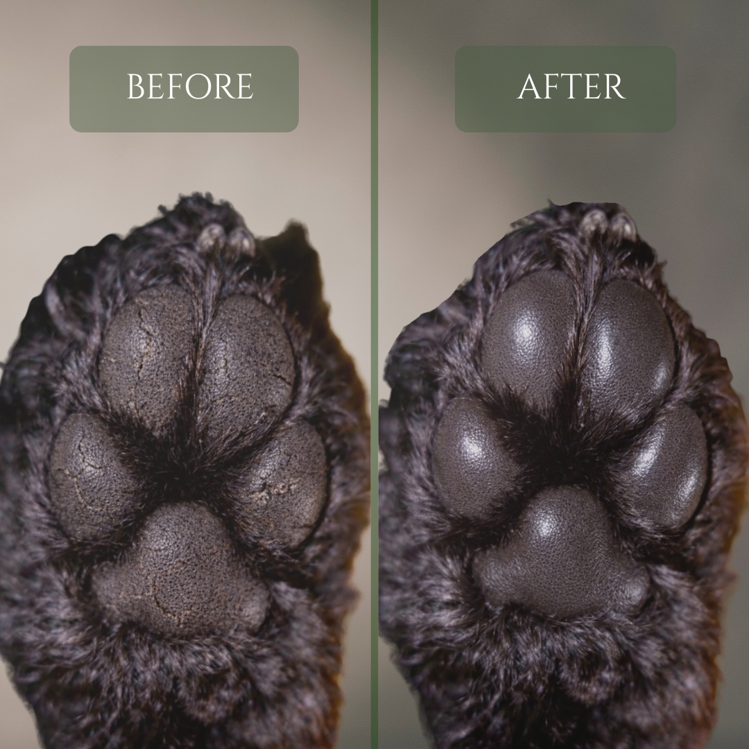 ALOE PAW-FFLE FOAM
