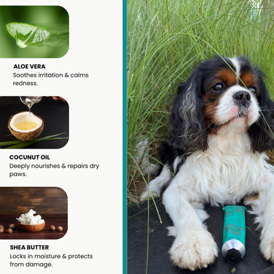 ALOEPAW•SSION CREAM